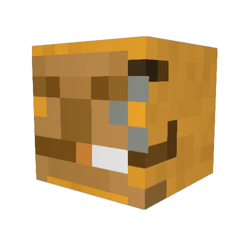 sillymonkey4996 Minecraft avatar head, 3D render