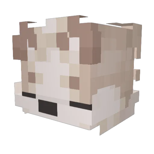 sillypuppy68 Minecraft avatar head, 3D render