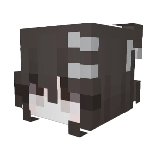sillysara Minecraft avatar head, 3D render