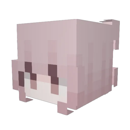 sillyswrvv Minecraft avatar head, 3D render