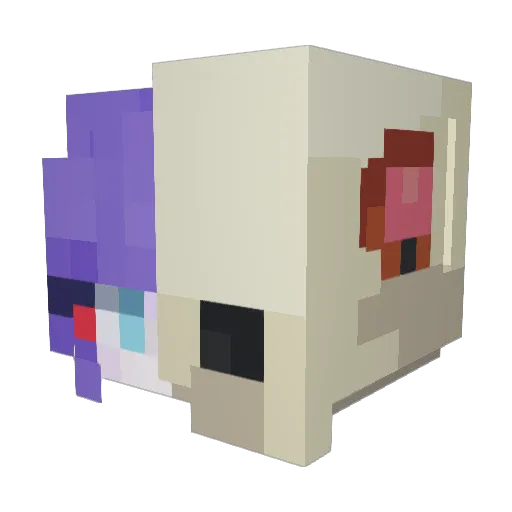 sillytemper Minecraft avatar head, 3D render
