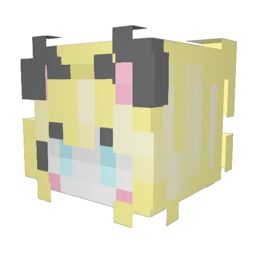 sillytigerkate Minecraft avatar head, 3D render