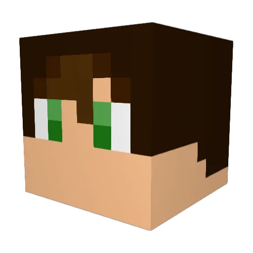 sillyyCowboy Minecraft avatar head, 3D render