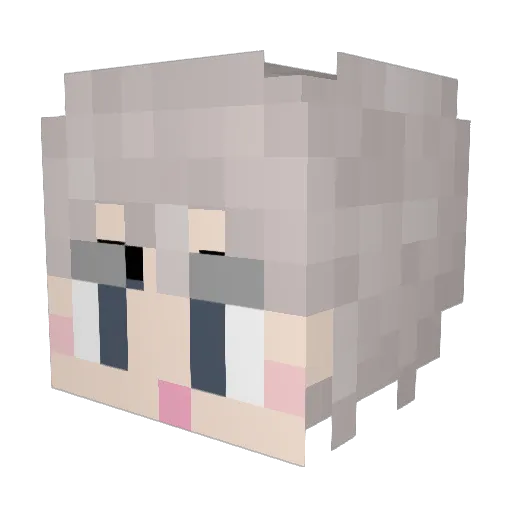 silver207 Minecraft avatar head, 3D render