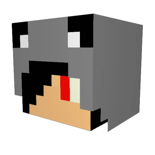 silver2284 Minecraft avatar head, 3D render