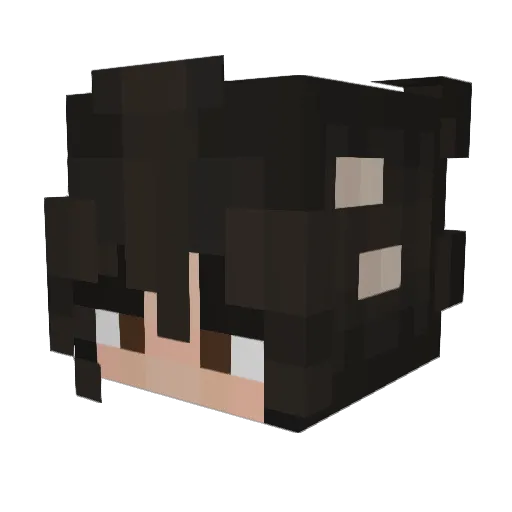 silver6769 Minecraft avatar head, 3D render