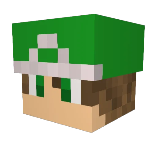silver8000 Minecraft avatar head, 3D render