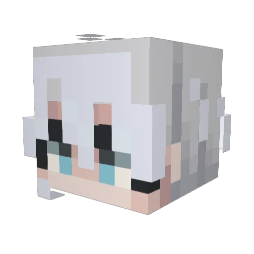 silver_8848 Minecraft avatar head, 3D render