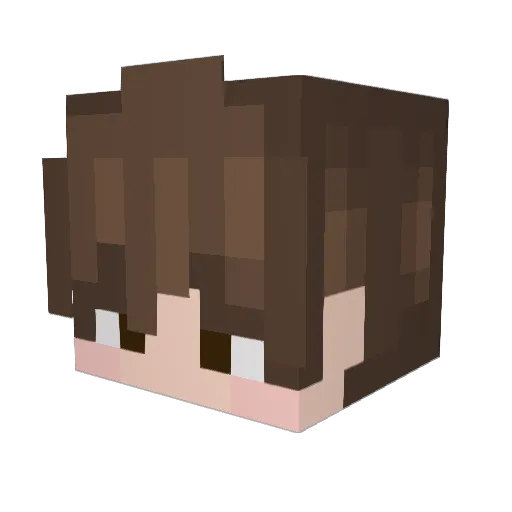 silver_bug Minecraft avatar head, 3D render