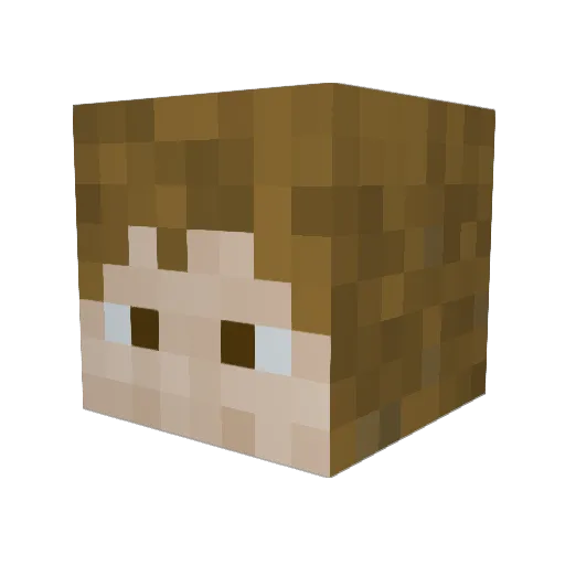 silverhawk5000 Minecraft avatar head, 3D render