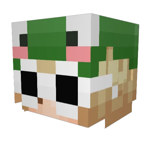 silverkitten07 Minecraft avatar head, 3D render