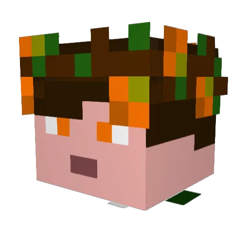 silverquiver999 Minecraft avatar head, 3D render