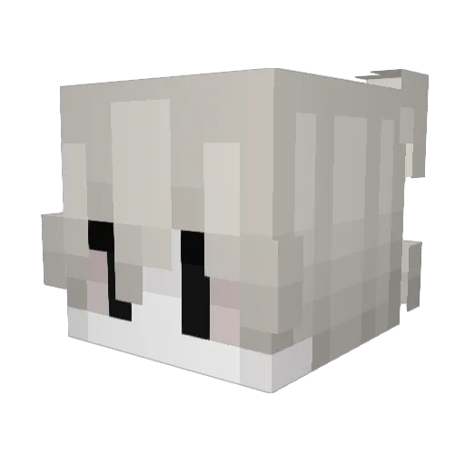 silverraider1 Minecraft avatar head, 3D render