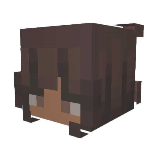 silversky19 Minecraft avatar head, 3D render