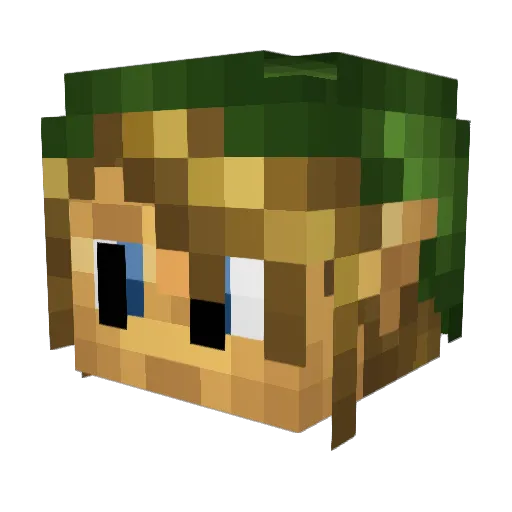 silversonicIan Minecraft avatar head, 3D render