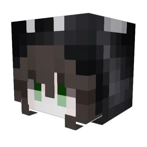 silversprinqs Minecraft avatar head, 3D render