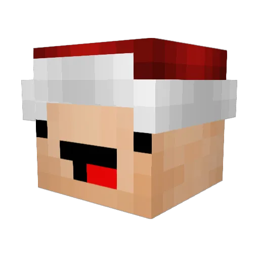 silversurfarn007 Minecraft avatar head, 3D render