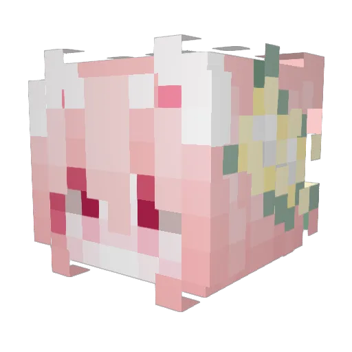 silvis5792 Minecraft avatar head, 3D render