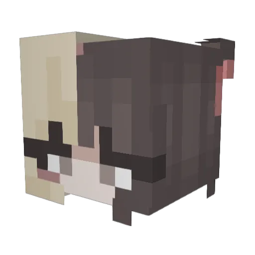 silvisek Minecraft avatar head, 3D render