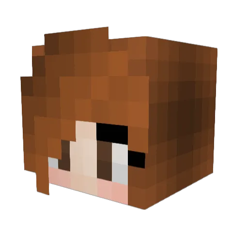 simbbad Minecraft avatar head, 3D render