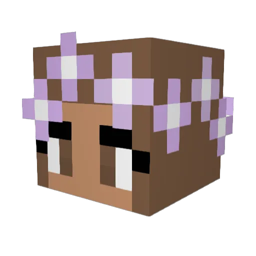 simidc Minecraft avatar head, 3D render