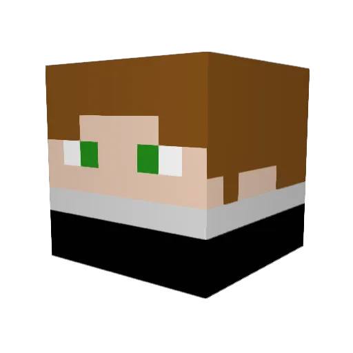 simidimi12 Minecraft avatar head, 3D render