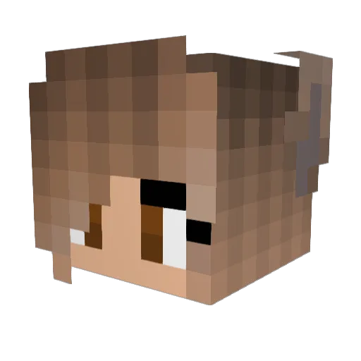 simmelisaboomer Minecraft avatar head, 3D render
