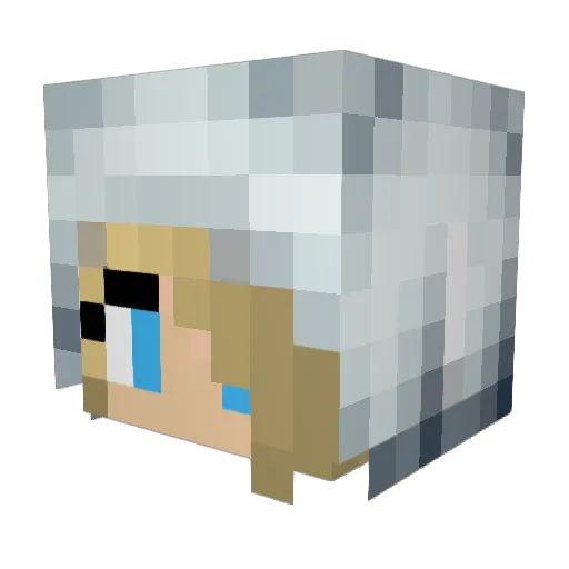 simo495 Minecraft avatar head, 3D render