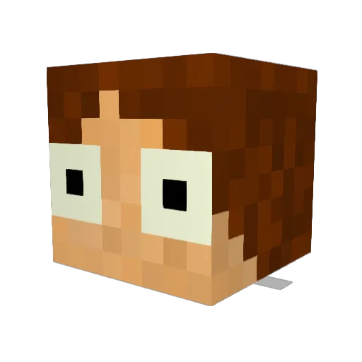 simon_411 Minecraft avatar head, 3D render