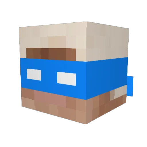 simon____ Minecraft avatar head, 3D render