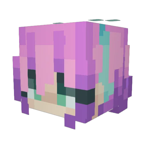 simonxt4 Minecraft avatar head, 3D render