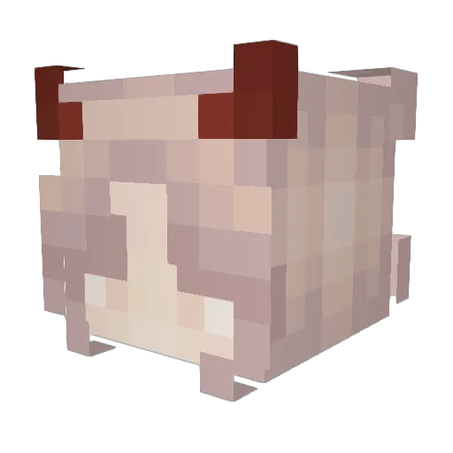 simp4alexxa Minecraft avatar head, 3D render