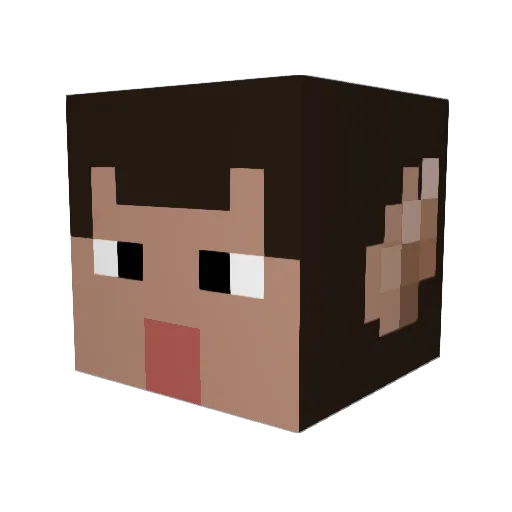 simpingisnice Minecraft avatar head, 3D render
