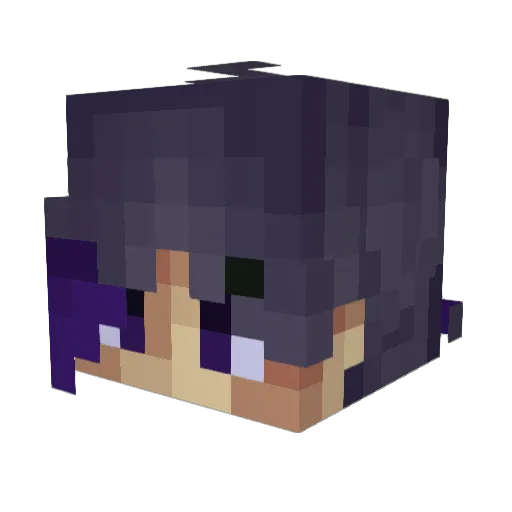 simpleSBsiege Minecraft avatar head, 3D render