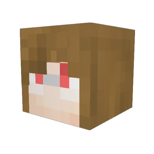 simpleton216 Minecraft avatar head, 3D render
