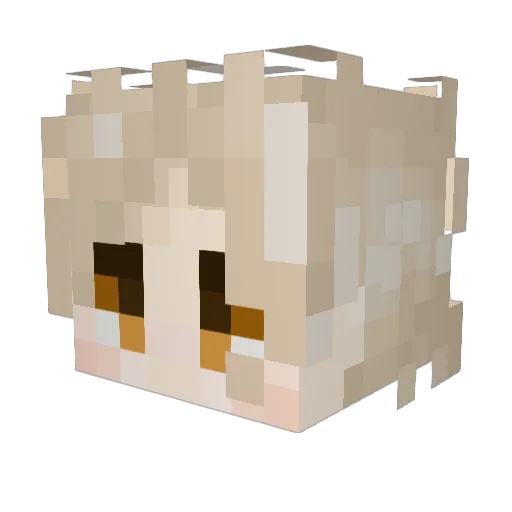 simpli12 Minecraft avatar head, 3D render