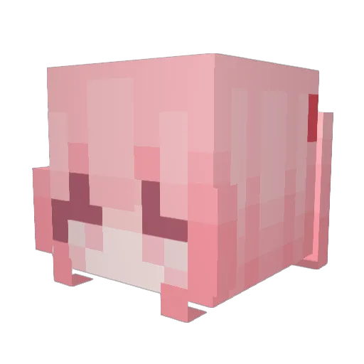 simplyvaal Minecraft avatar head, 3D render