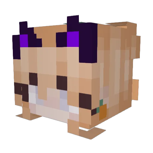 simplyy_moon Minecraft avatar head, 3D render