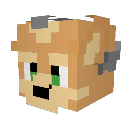 simrell Minecraft avatar head, 3D render