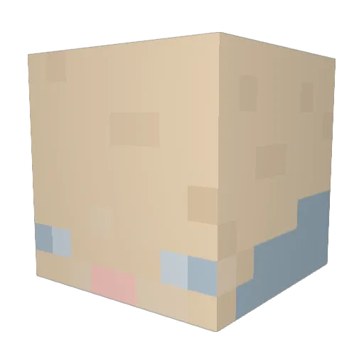 simsektheblack Minecraft avatar head, 3D render
