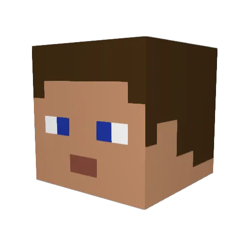 simsom1998 Minecraft avatar head, 3D render