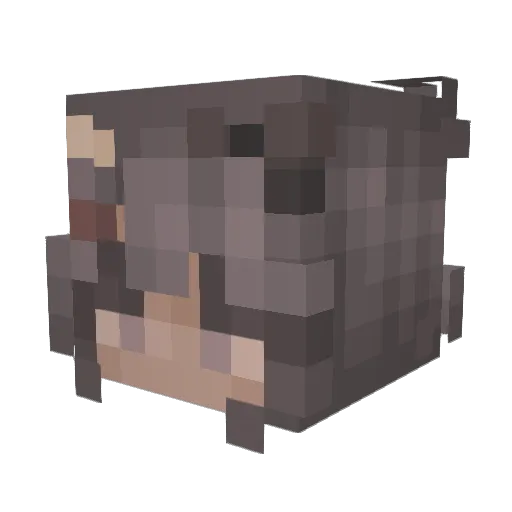 sina2210 Minecraft avatar head, 3D render