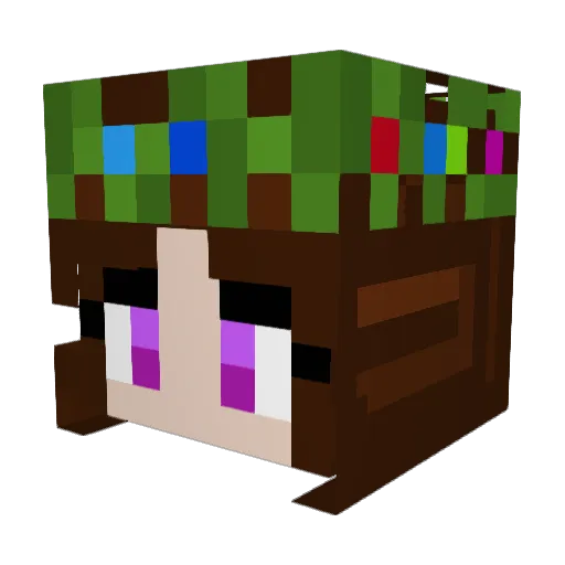 sinann19 Minecraft avatar head, 3D render
