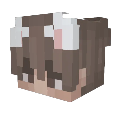 sincere900602 Minecraft avatar head, 3D render