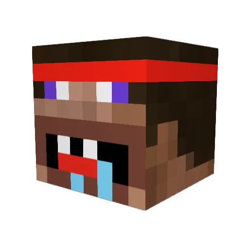 sinds_ Minecraft avatar head, 3D render