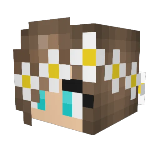 sine04 Minecraft avatar head, 3D render