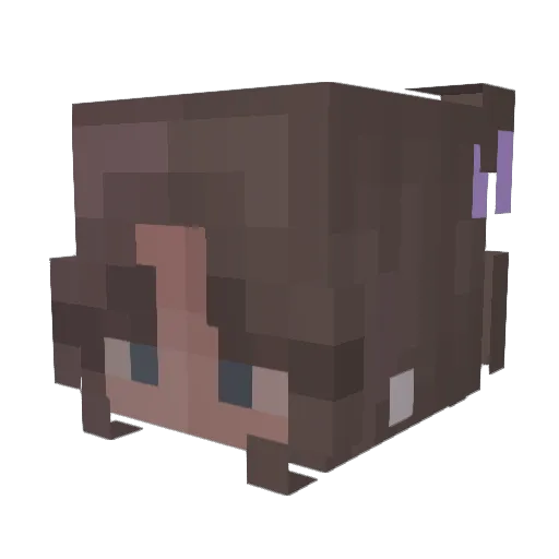 sinexd_h Minecraft avatar head, 3D render