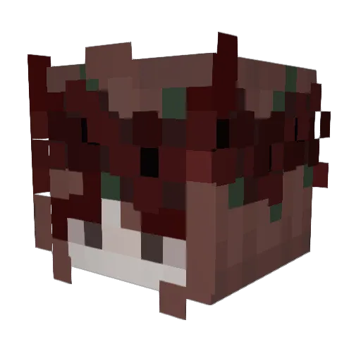 sinful_nebula Minecraft avatar head, 3D render