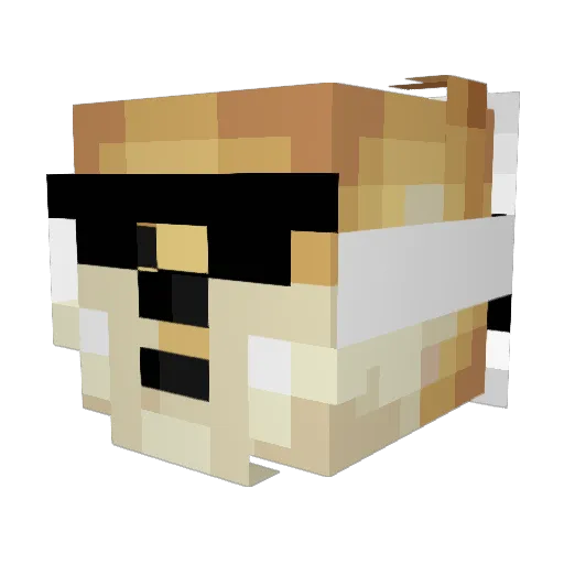 singledog217 Minecraft avatar head, 3D render