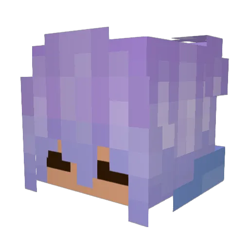 singswoop Minecraft avatar head, 3D render